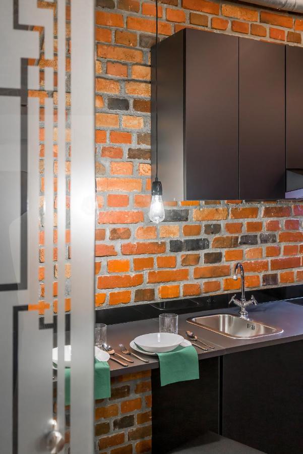Level -1 Loft Apartments City Center Kopernika 포즈난 외부 사진